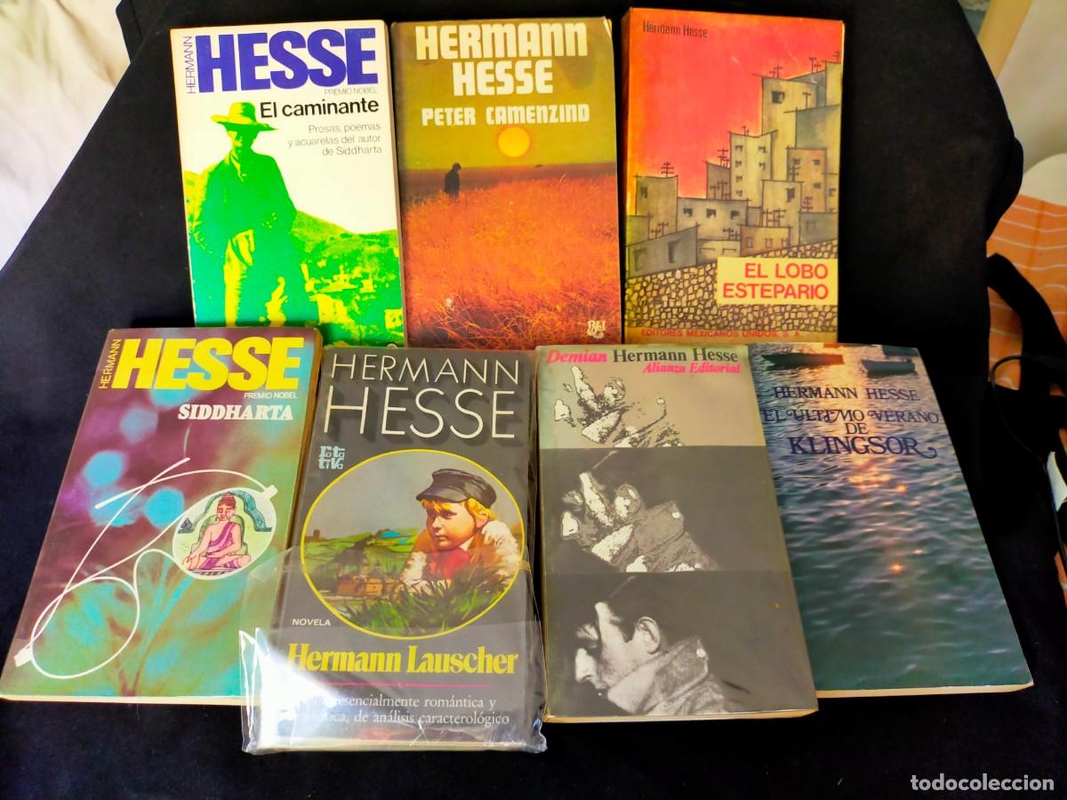 Libros de segunda mano: HERMANN HESSE. LOTE DE 7 LIBROS DEL PREMIO NOBEL. VER DESCRIPCI&Oacute;N Y FOTOS.