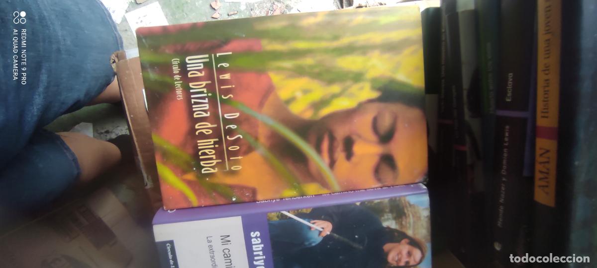 Libros de segunda mano: Una brizna de hierba.- DeSoto, Lewis