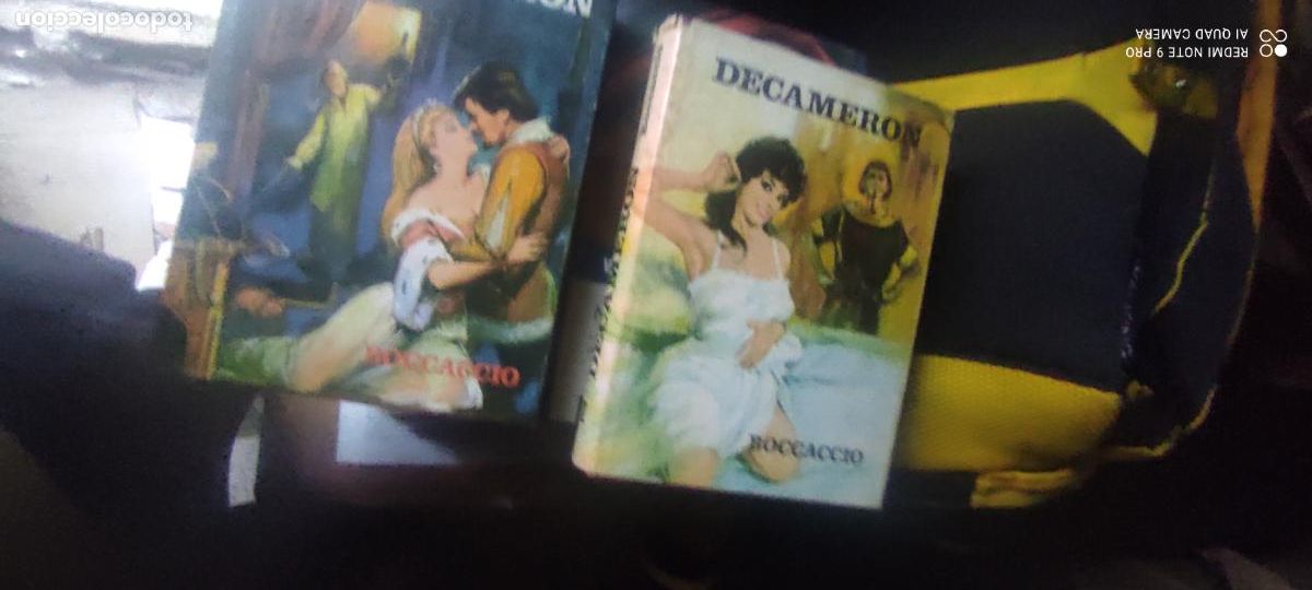 Libros de segunda mano: El Decamer&oacute;n de Bocaccio Ed. Petronio