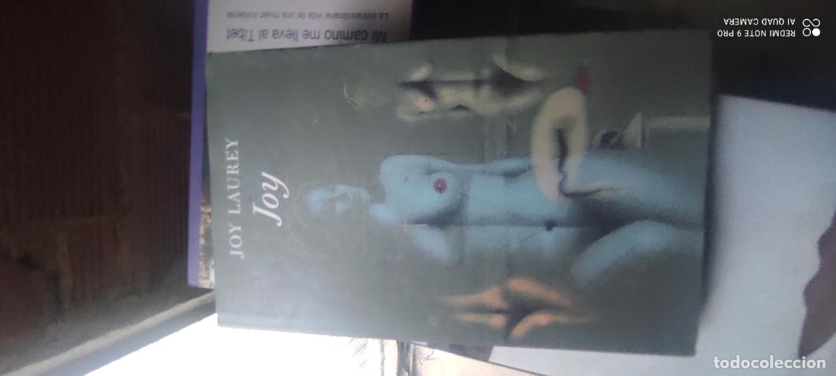 Libros de segunda mano: JOY - JOY LAUREY - CIRCULO DE LECTORES 1991