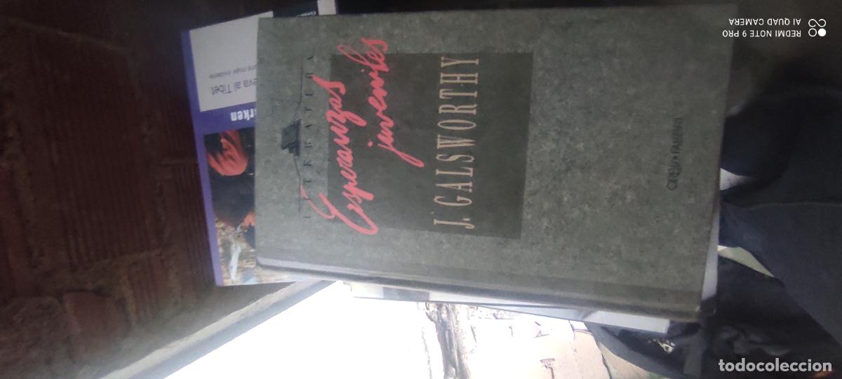 Libros de segunda mano: Esperanzas juveniles de Galsworthy