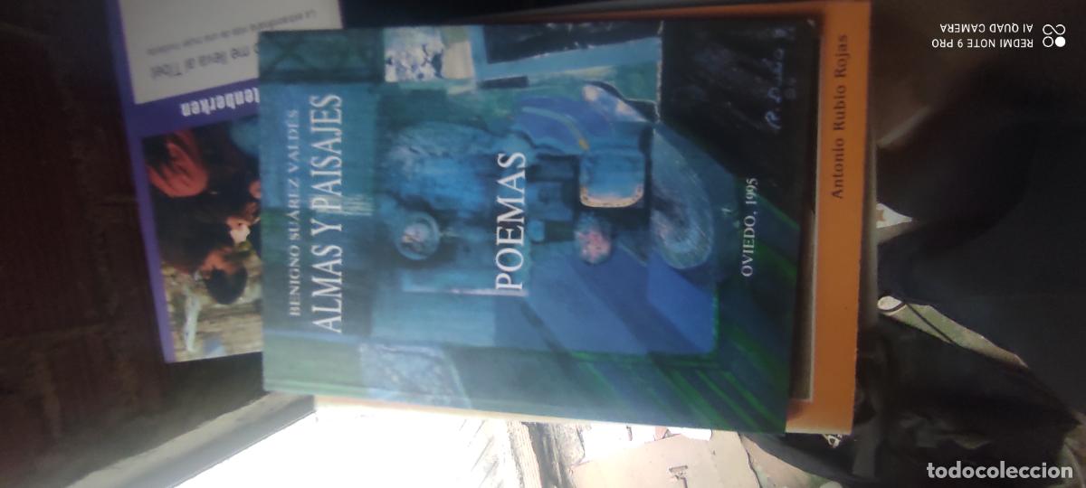 Libros de segunda mano: Almas y paisajes - Benigno Su&aacute;rez Vald&eacute;s