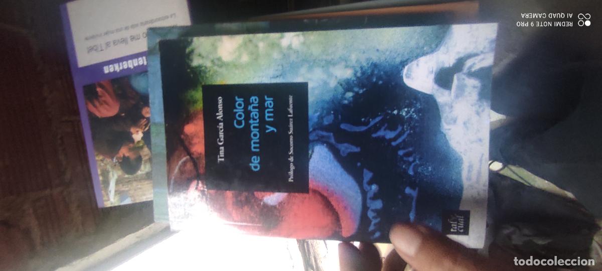 Libros de segunda mano: Tina Garc&iacute;a Alonso.- Color de monta&ntilde;a y mar