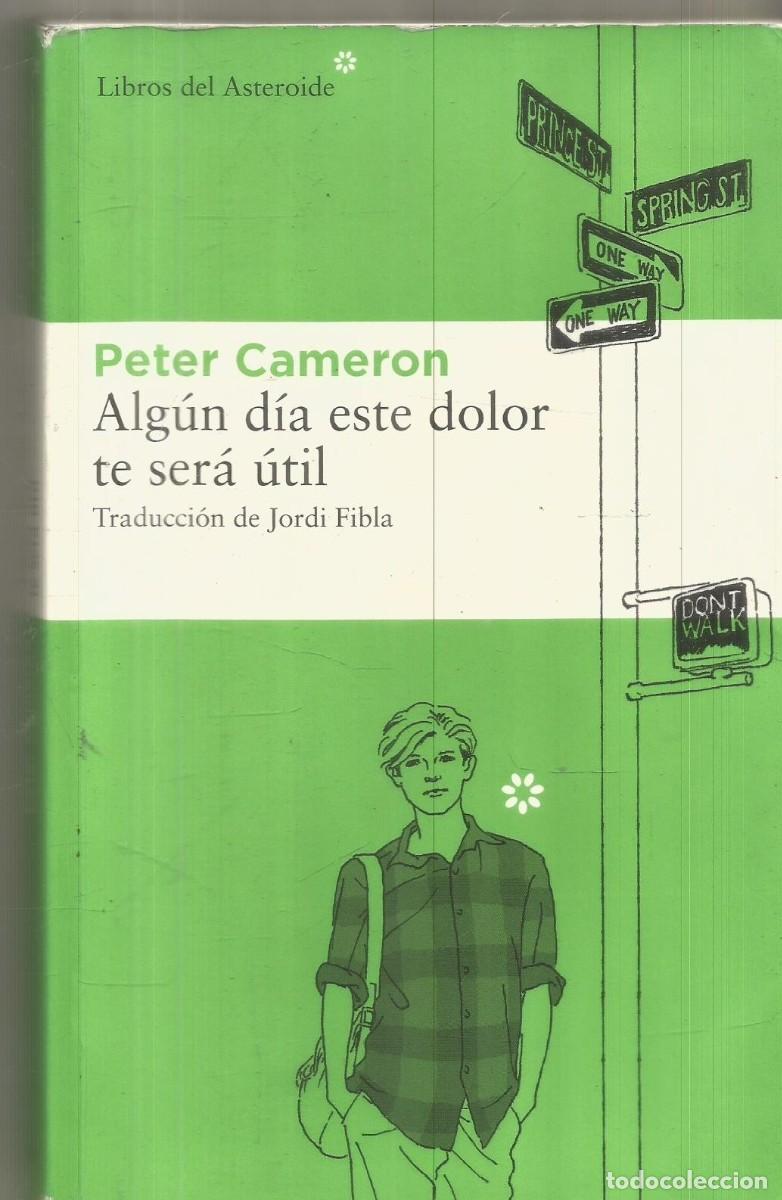 Libros de segunda mano: PETER CAMERON. ALGUN DIA ESTE DOLOR TE SERA UTIL. LIBROS DEL ASTEROIDE. PRIMERA EDICION
