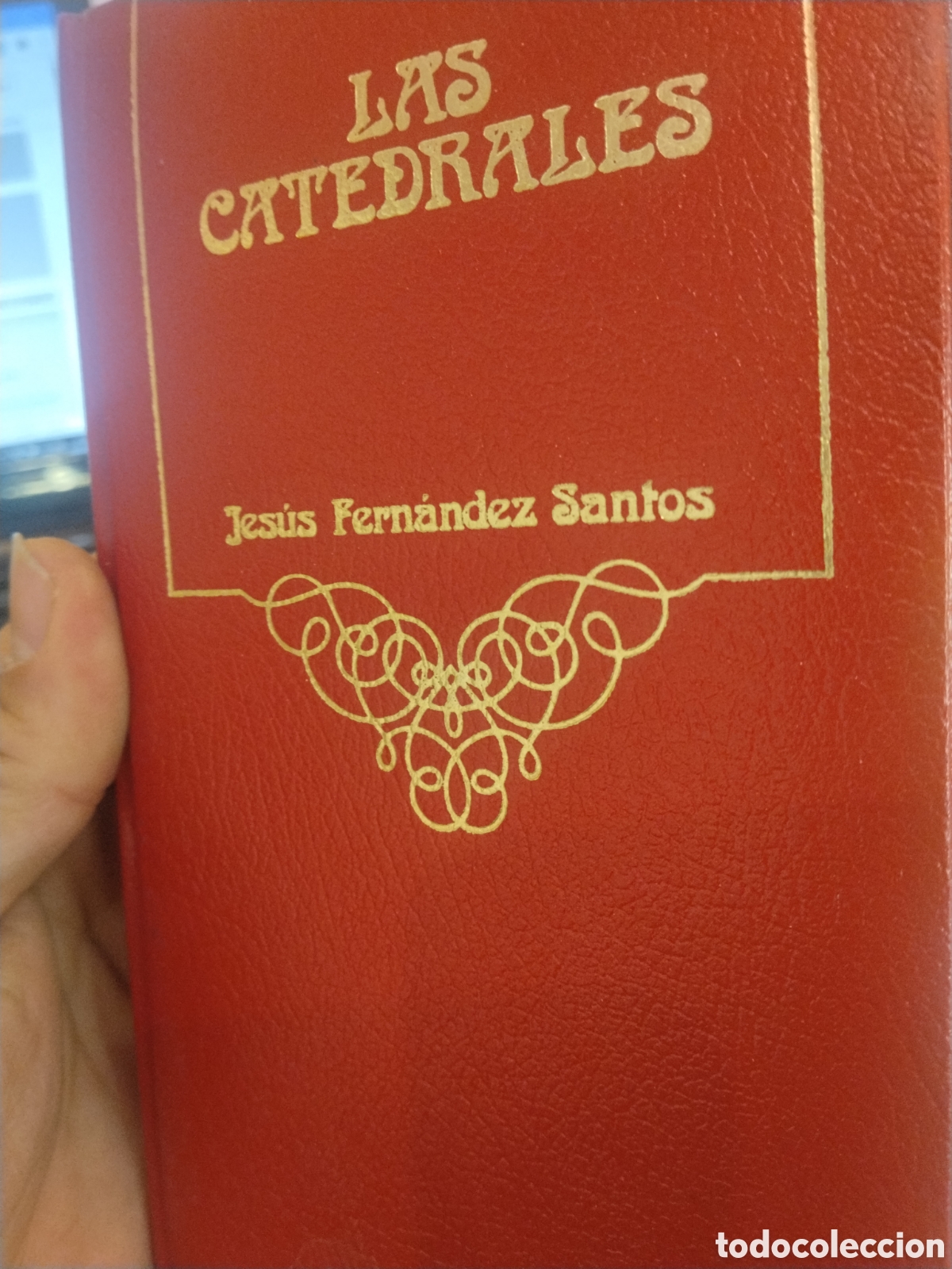 Libri di seconda mano: Jes&uacute;s Fern&aacute;ndez Santos. Las catedrales