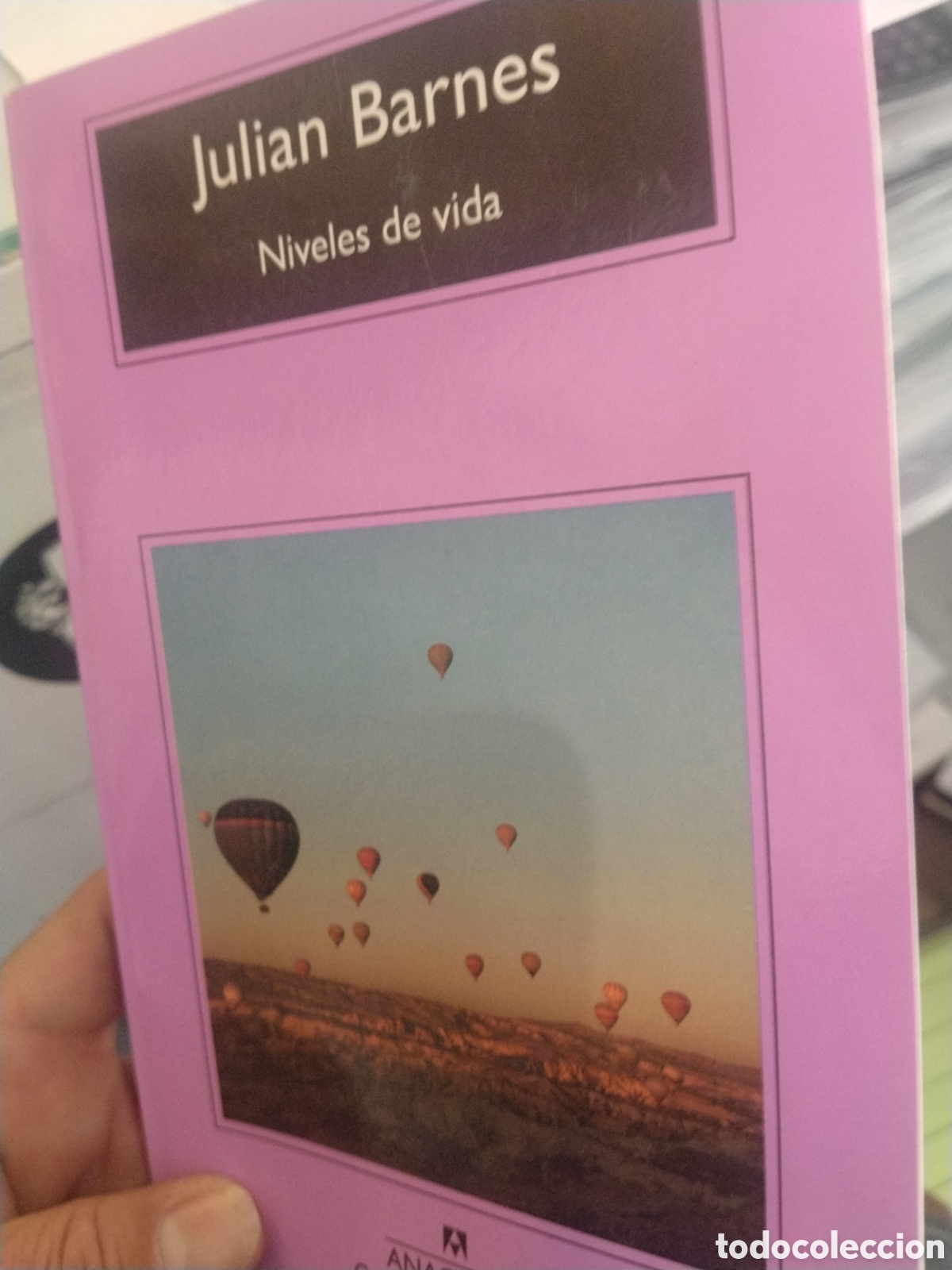 Libri di seconda mano: Juli&aacute;n Barnes. Niveles de Vida