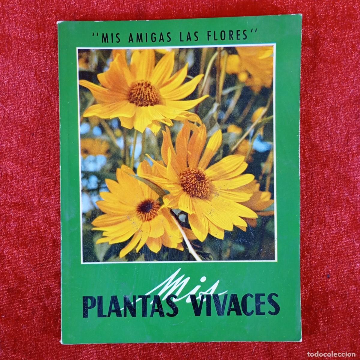 Libros de segunda mano: MIS PLANTAS - MIS AMIGAS LAS FLORES / 1387