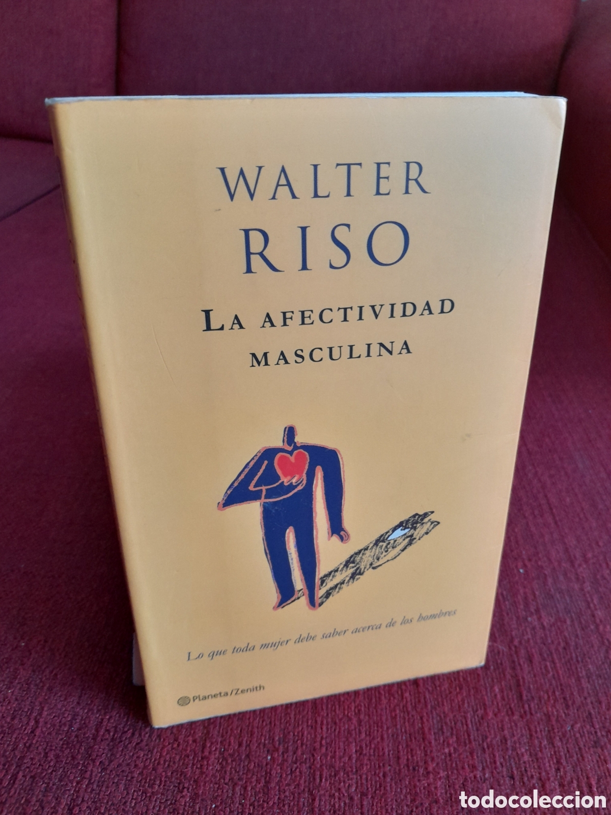 Libros de segunda mano: -La Afectividad Masculina.Walter Riso.