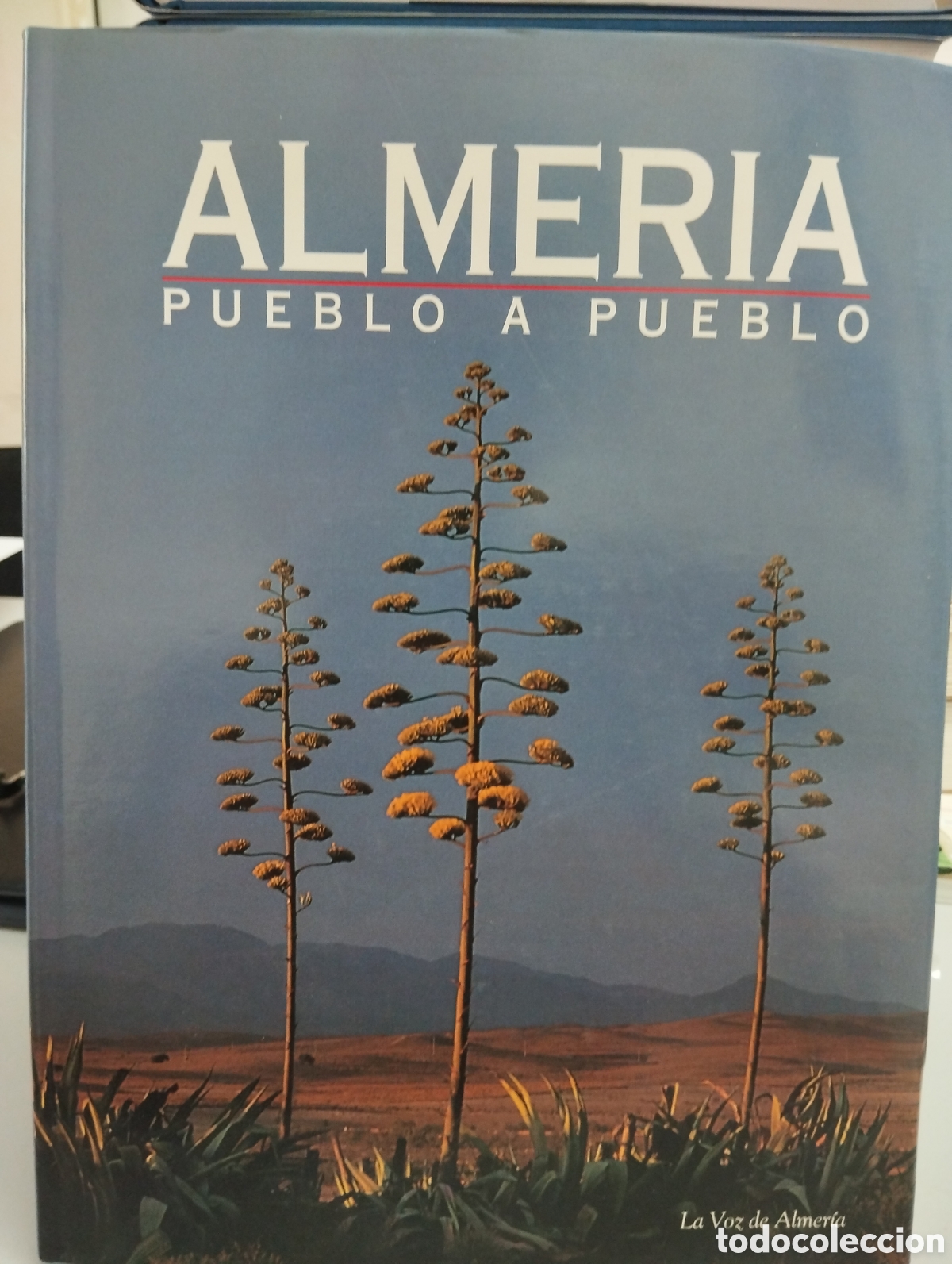 Libros de segunda mano: Almer&iacute;a Pueblo a Pueblo 2 tomos