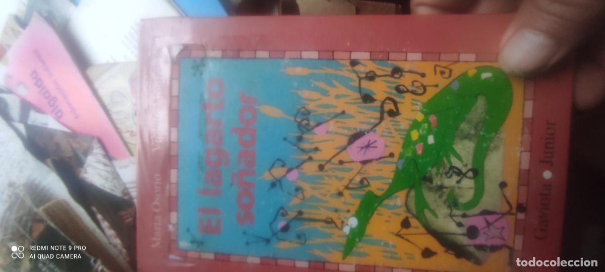 Libros de segunda mano: EL LAGARTO SO&Ntilde;ADOR. - OSORIO, Marta.