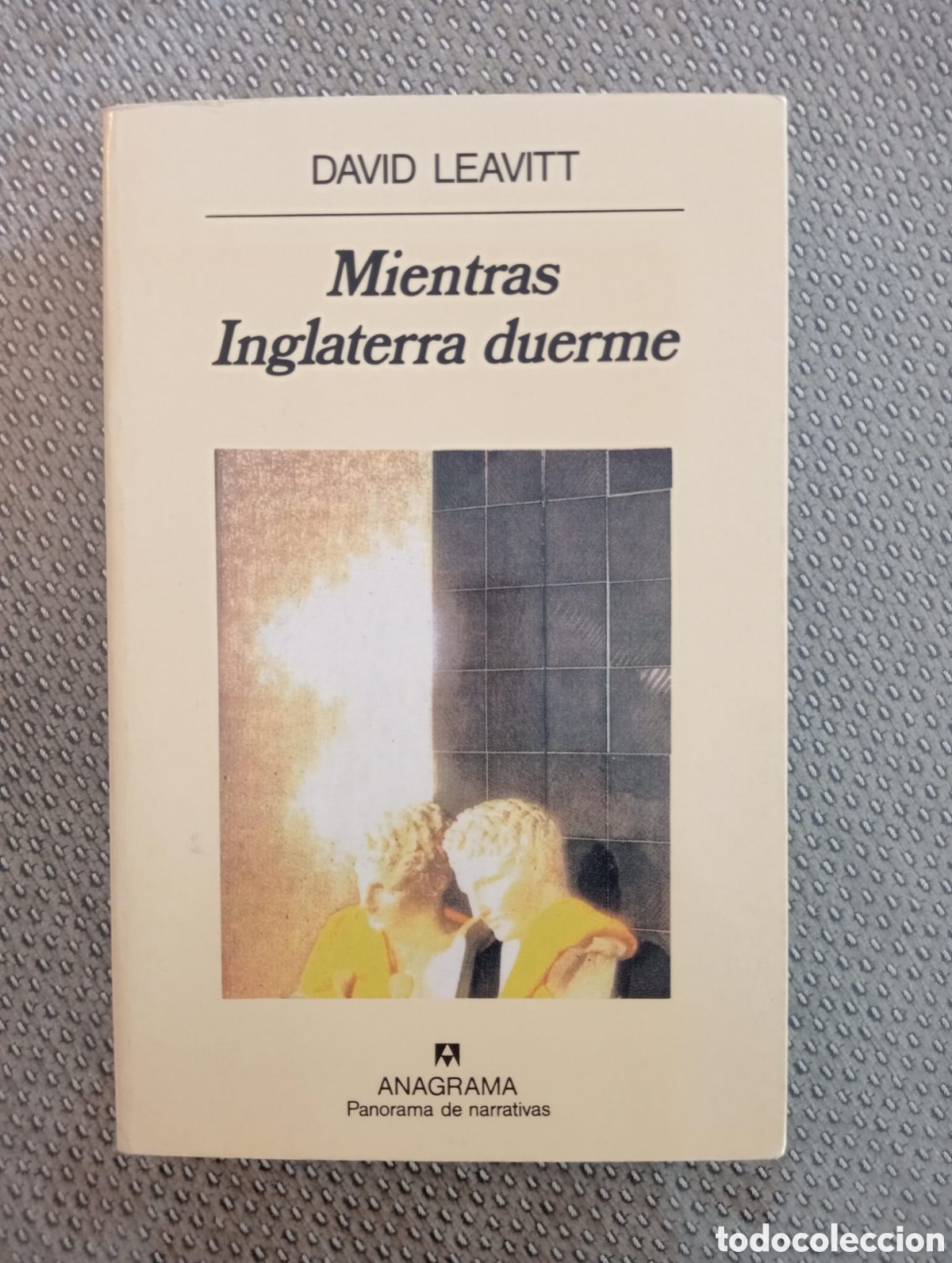 Libri di seconda mano: Mientras Inglaterra duerme / David Leavitt
