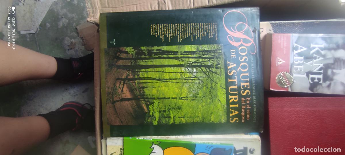 Libros de segunda mano: BOSQUES DE ASTURIAS EN EL REINO DEL BUSGOSU. Libro.
