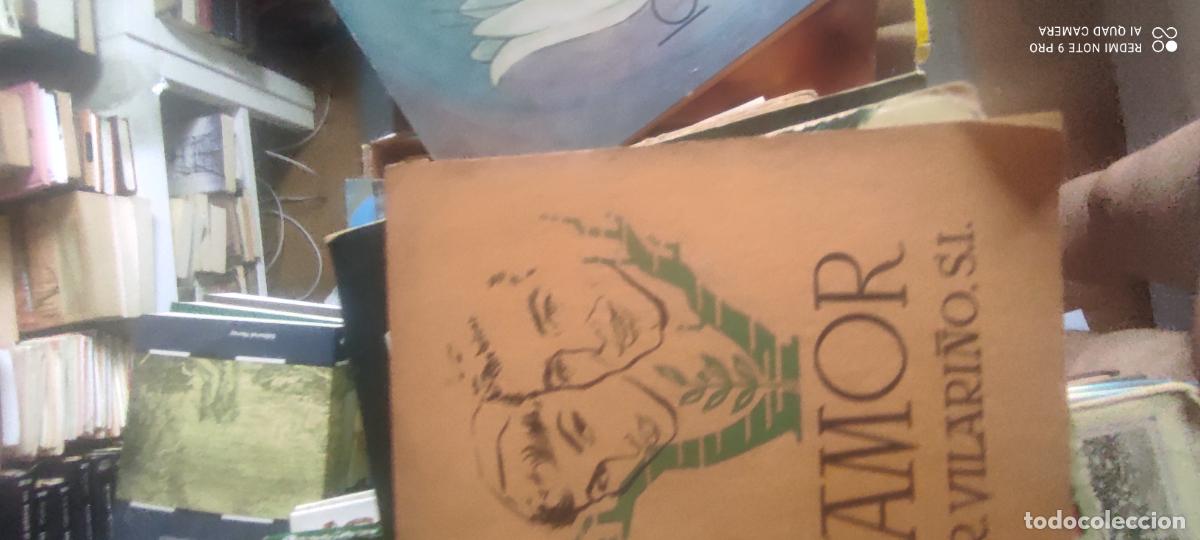 Libros de segunda mano: Amor!!! P. Vilari&ntilde;o,,,