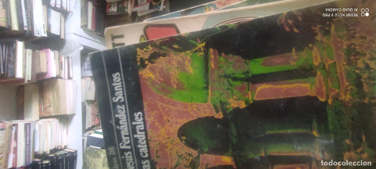 Libros de segunda mano: Las catedrales. Fern&aacute;ndez Santos
