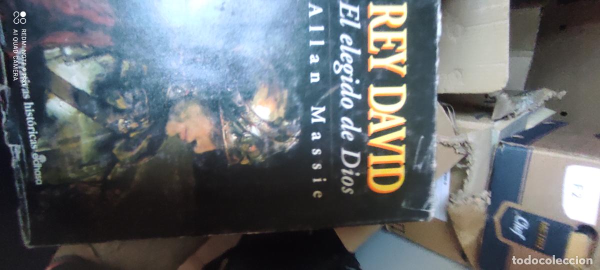 Libros de segunda mano: Rey David : el elegido de Dios - Massie, Allan :