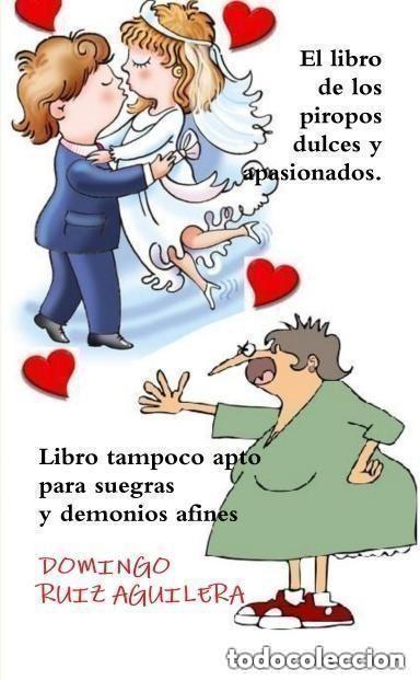 Libros de segunda mano: El libro de los piropos dulces y apasionados. Libro tampoco apto para suegras y demonios afines