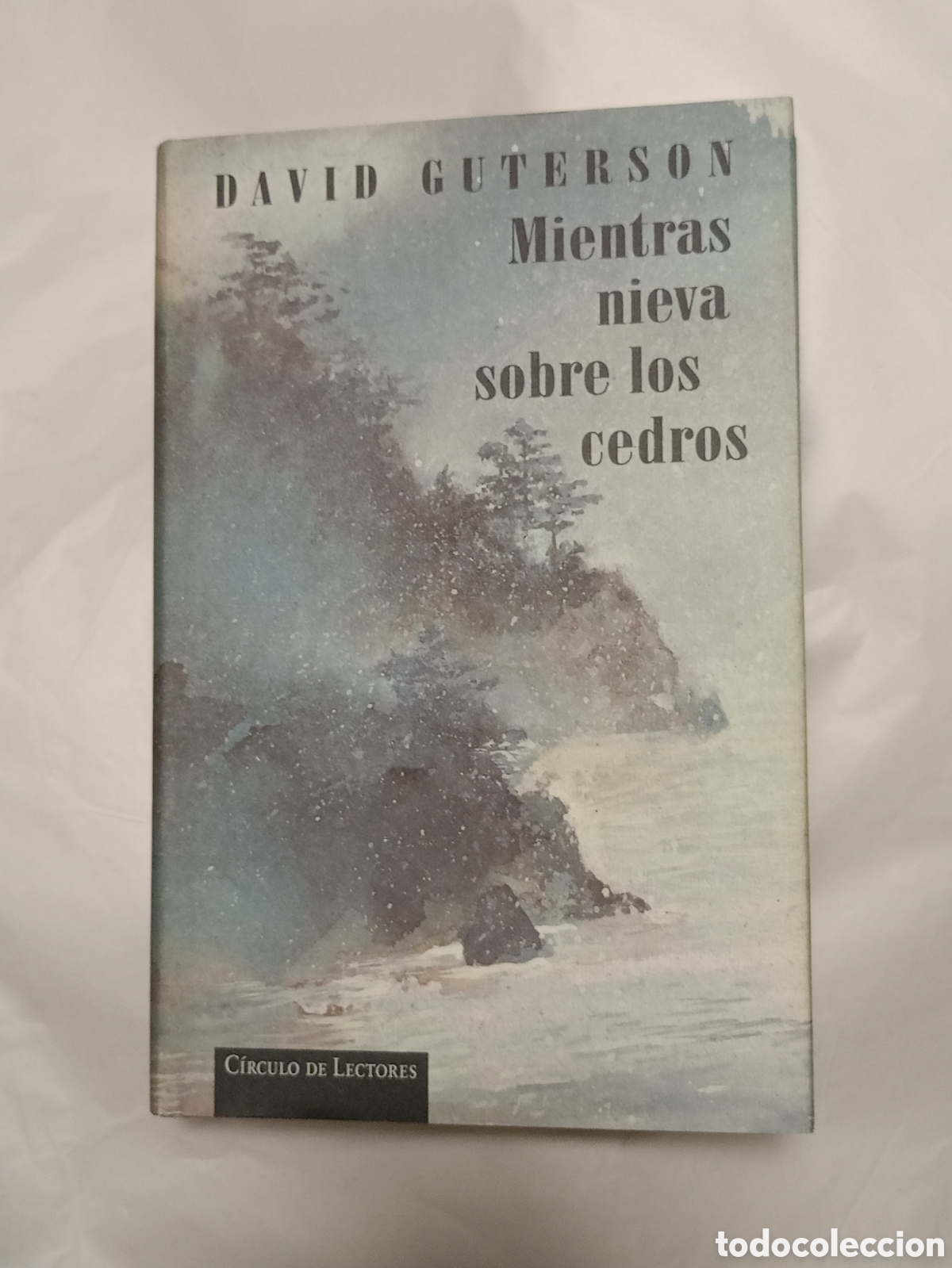 Gebrauchte B&uuml;cher: MIENTRAS NIEVA SOBRE LOS CEDROS - DAVID GUTERSON