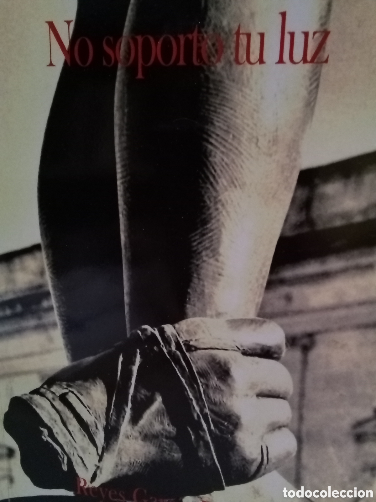 Gebrauchte B&uuml;cher: Reyes Garc&iacute;a-Doncel. No soporto tu luz