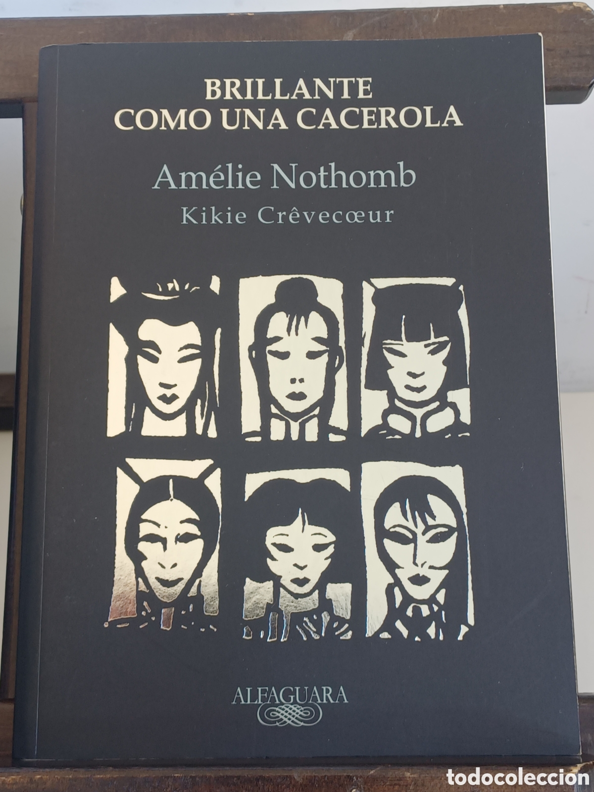 Libros de segunda mano: Brillante como una cacerola/ Am&eacute;lie Nothomb/ Alfaguara, 2009
