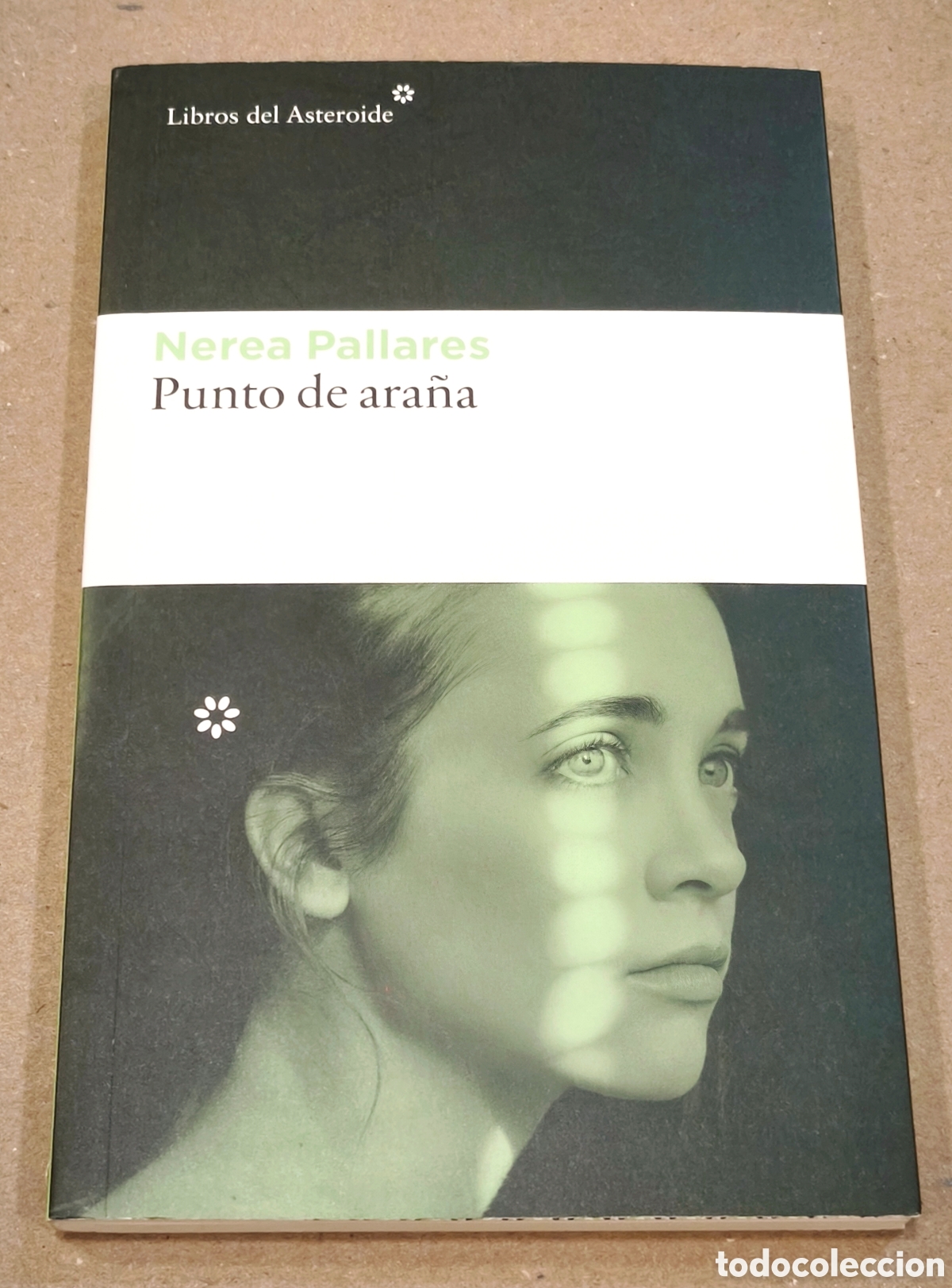 Libros de segunda mano: Punto de ara&ntilde;a - Nerea Pallares - Libros del Asteroide - 1&ordf; edici&oacute;n 2026