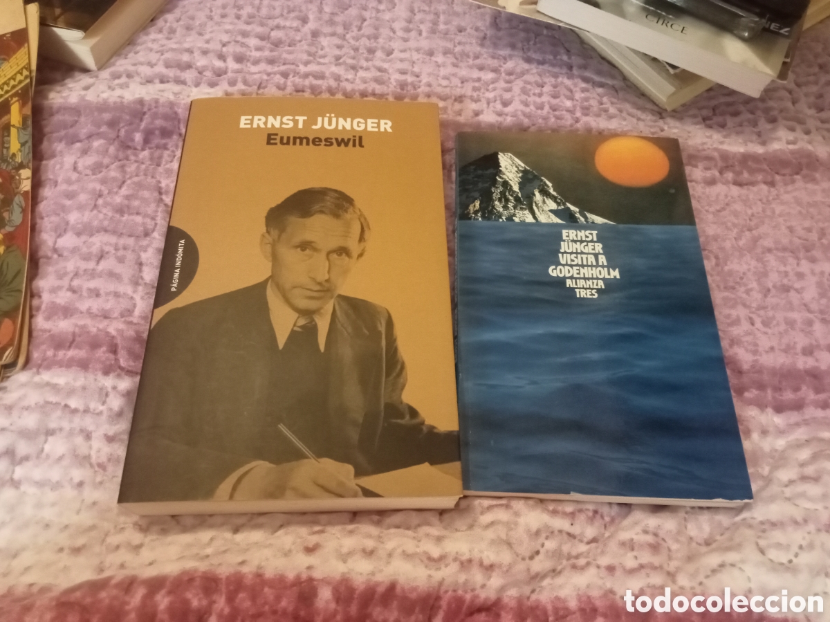Libros de segunda mano: Ernest Junger: Eumeswil/Visita a Godengolm