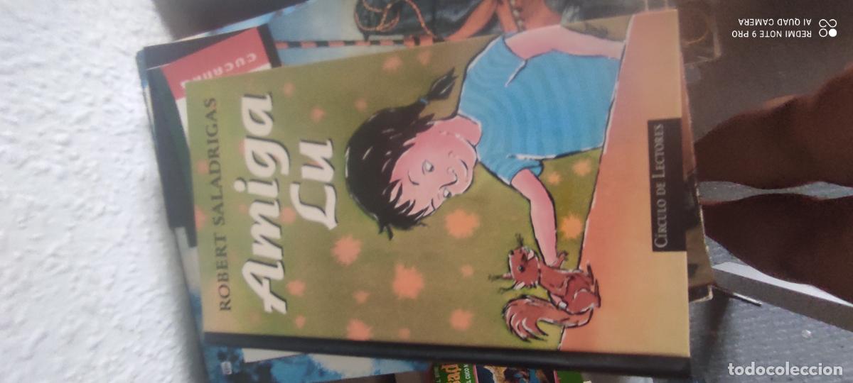 Libros de segunda mano: Robert Saladrigas - Amiga Lu