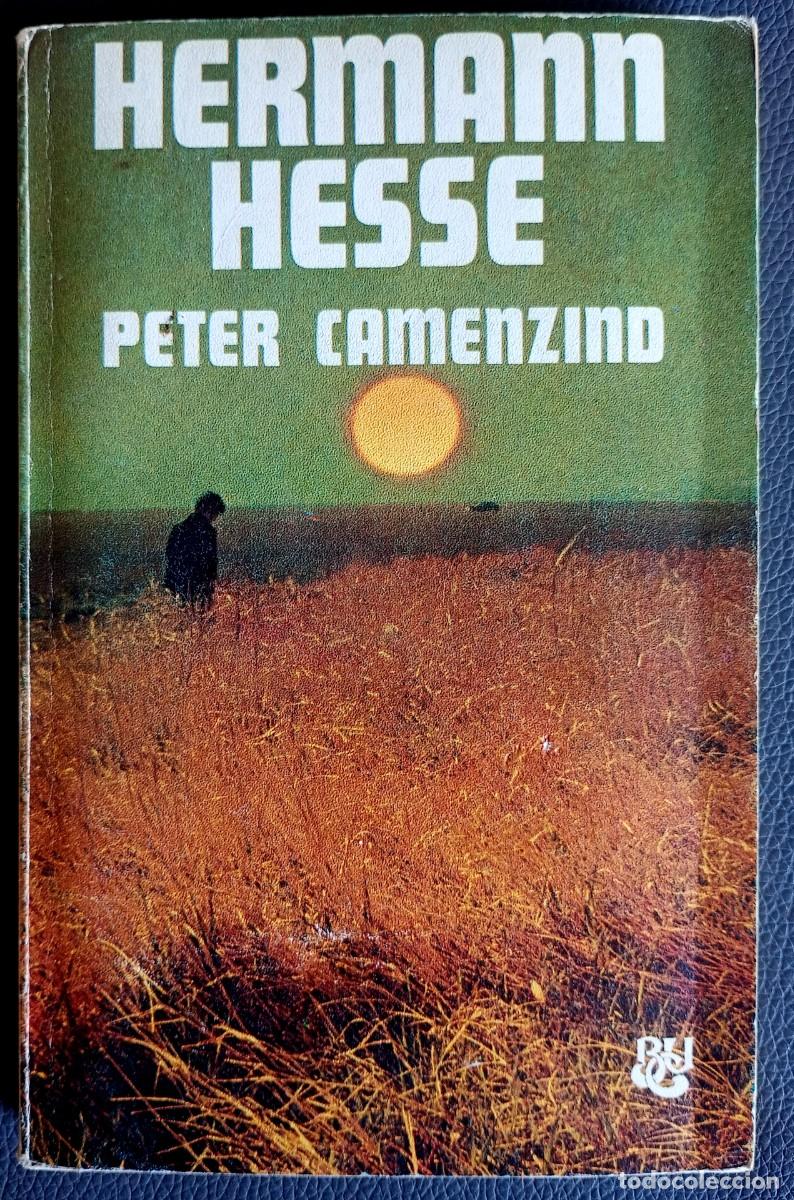 Libros de segunda mano: Hermann Hesse . Peter Camenzind