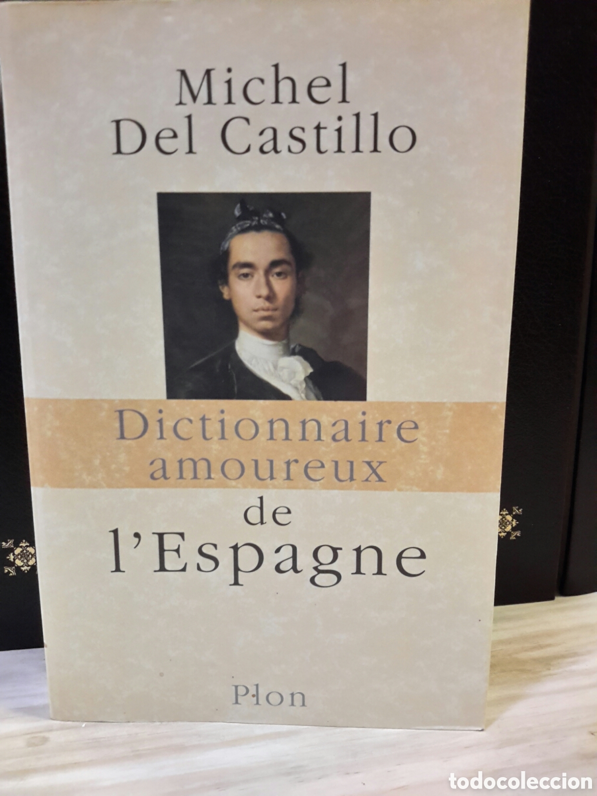 Gebrauchte B&uuml;cher: Michel del Castillo. Dictionnaire amoureux de l'Espagne