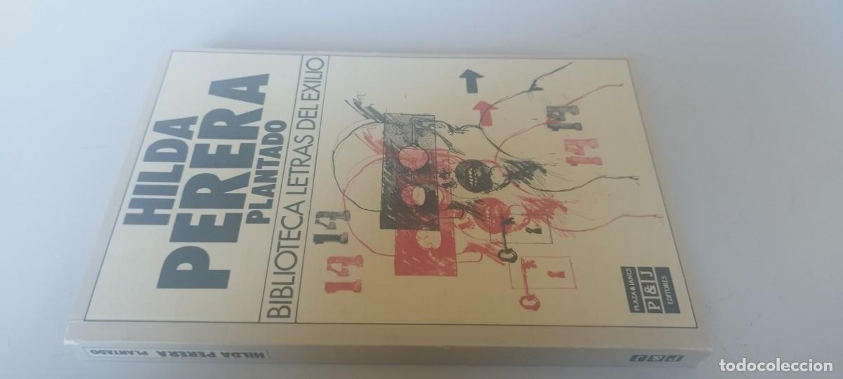 Libros de segunda mano: PLANTADO / HILDA PERERA / EVA 212 / PLAZA&JANES
