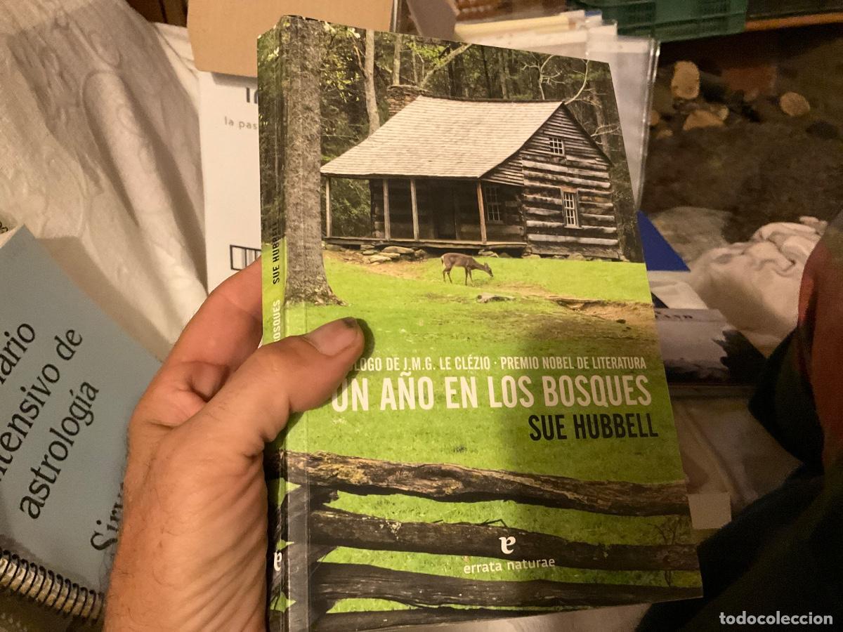 Libros de segunda mano: Un a&ntilde;o en los bosques. Sue Hubben. Errata naturae