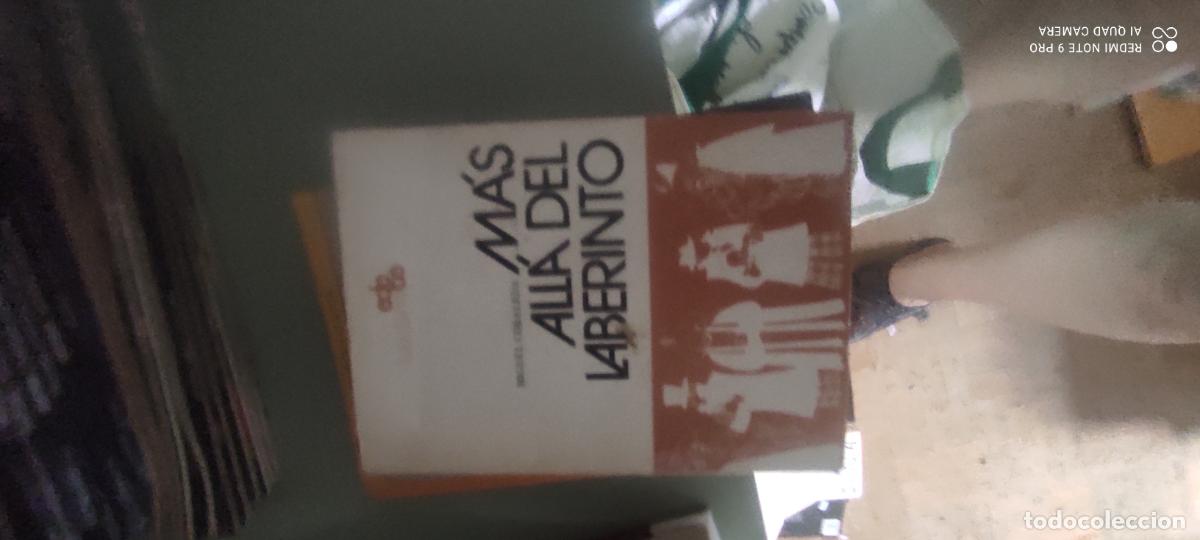 Libros de segunda mano: M&aacute;s all&aacute; del laberinto - Cobaleda Collado, Miguel &Aacute;ngel (1944- )