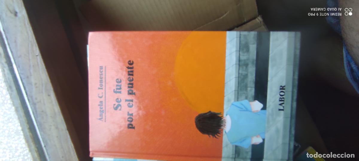 Libros de segunda mano: SE FUE POR EL PUENTE. ANGELA C. IONESCU. EDIT. LABOR.