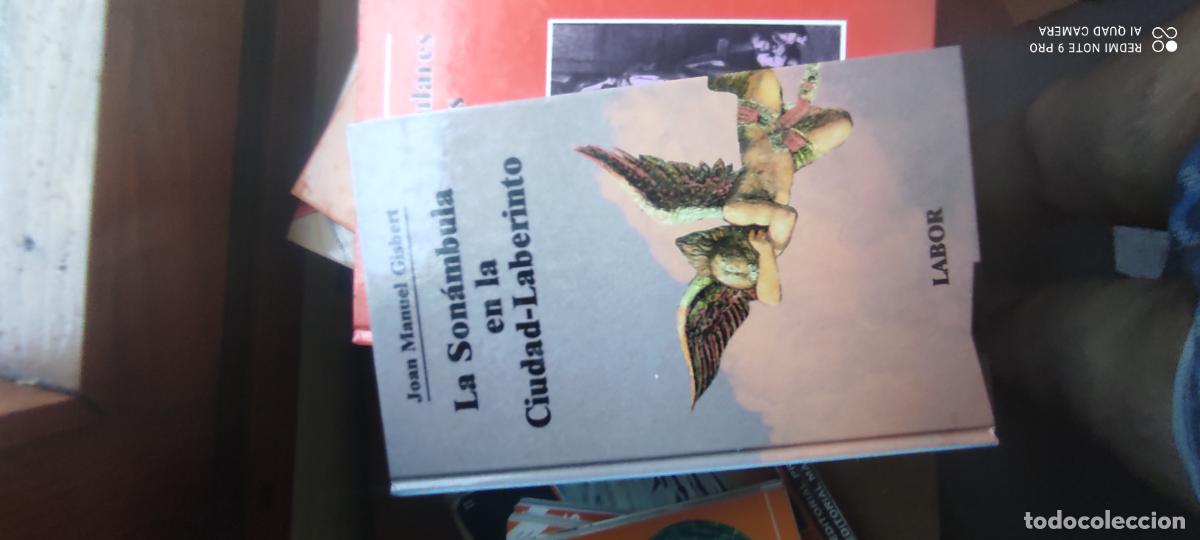 Libros de segunda mano: La son&aacute;mbula en la ciudad-laberinto. Joan Manuel Gisbert.