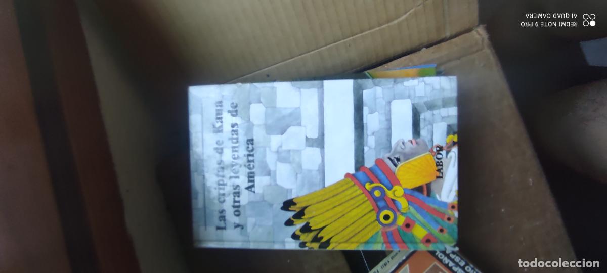 Libros de segunda mano: LAS CRIPTAS DE KAUA Y OTRAS LEYENDAS DE AM&Eacute;RICA - ED. LABOR 1988 -