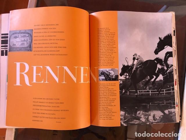 Libros de segunda mano: Libro El Reino del Caballo - Foto 3