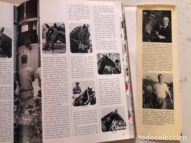 Libros de segunda mano: Libro El Reino del Caballo - Foto 4