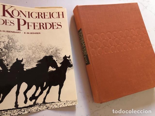 Libros de segunda mano: Libro El Reino del Caballo - Foto 6