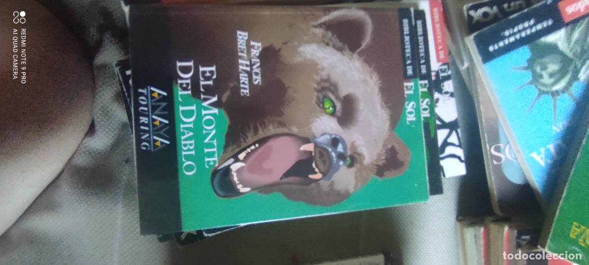 Libros de segunda mano: El monte del diablo, Harte. Biblioteca El Sol