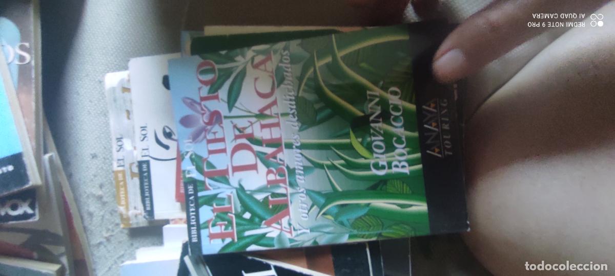 Libros de segunda mano: El tiesto de Albahaca. Bocaccio. Biblioteca El Sol