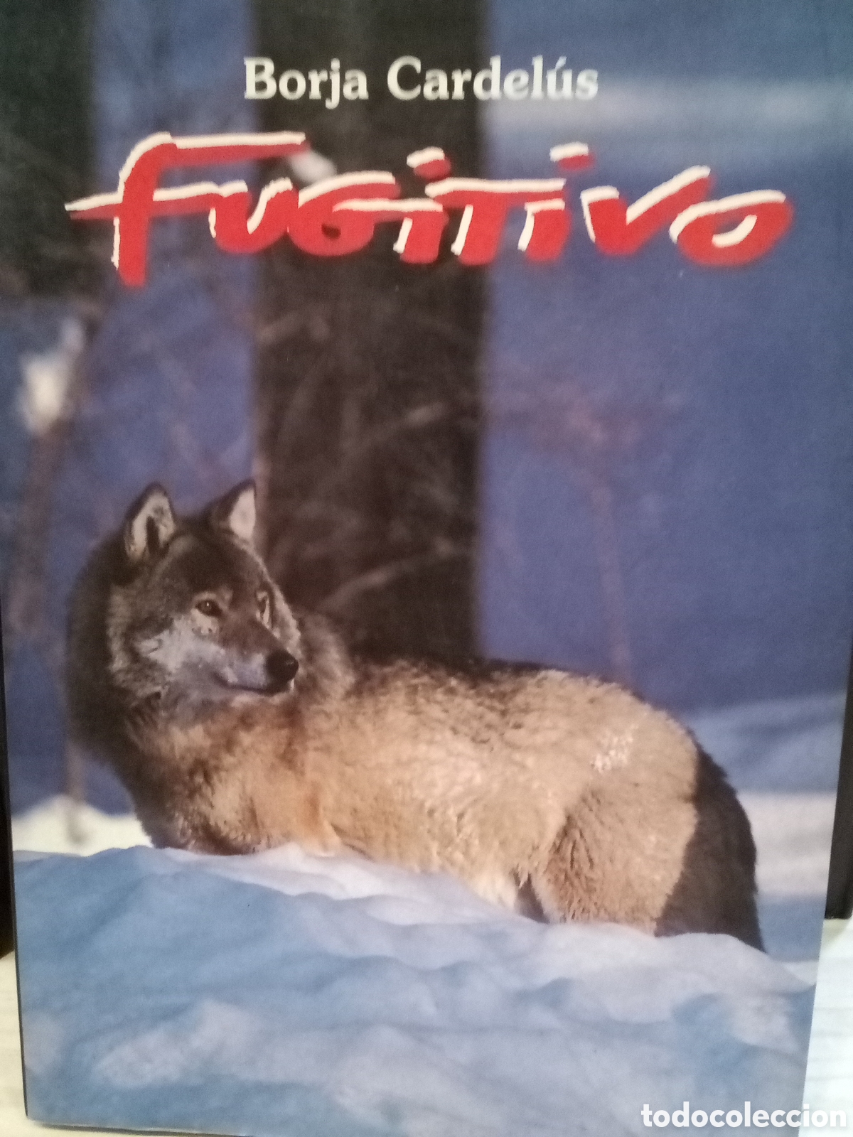 Libri di seconda mano: Borja Cardel&uacute;s. Fugitivo