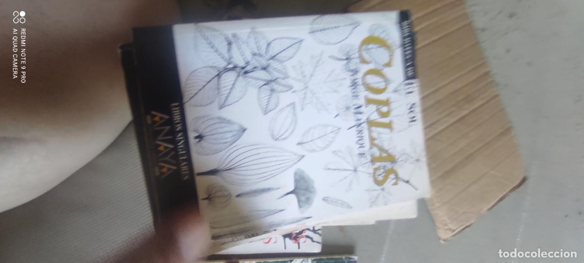 Libros de segunda mano: Coplas de Manrique. Biblioteca El Sol