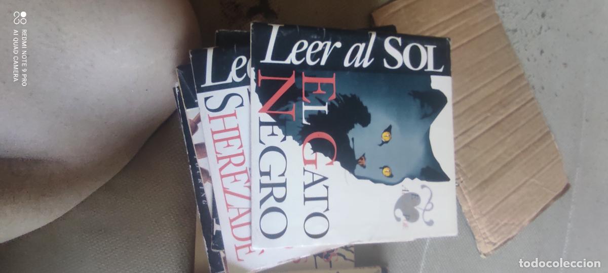 Libros de segunda mano: El gato negro. Biblioteca El Sol