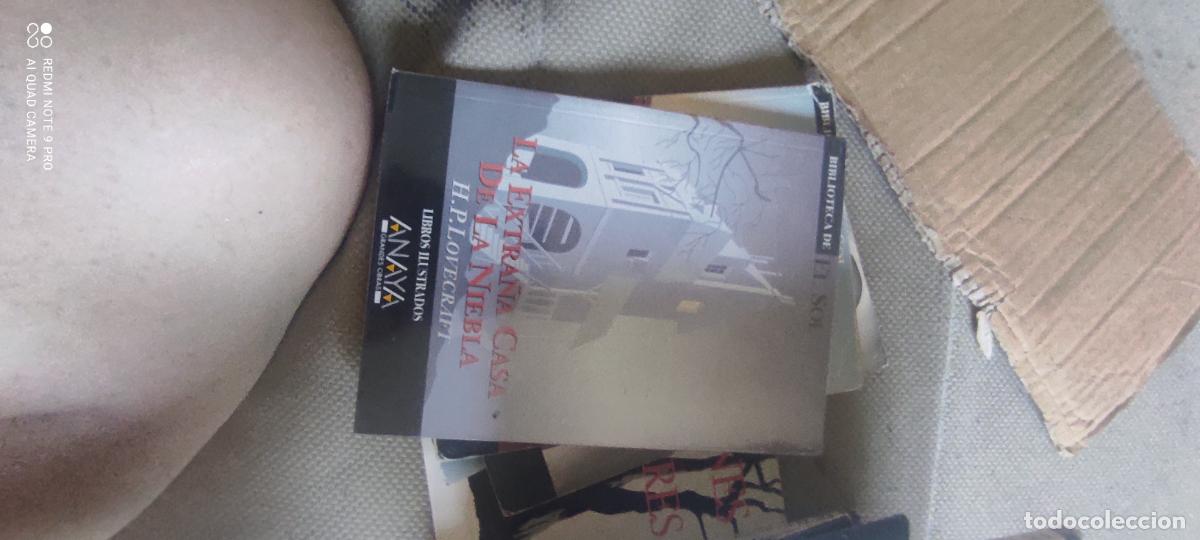 Libros de segunda mano: La extra&ntilde;a casa de la niebla, Lovecraft. Biblioteca El Sol