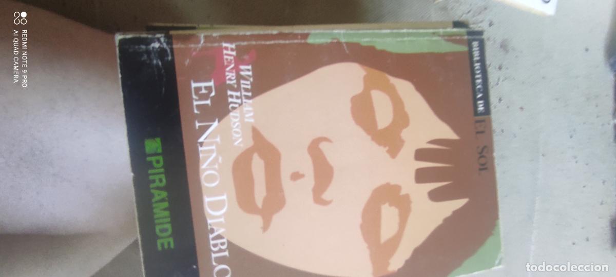 Libros de segunda mano: el ni&ntilde;o diablo, Hudson. Biblioteca El Sol
