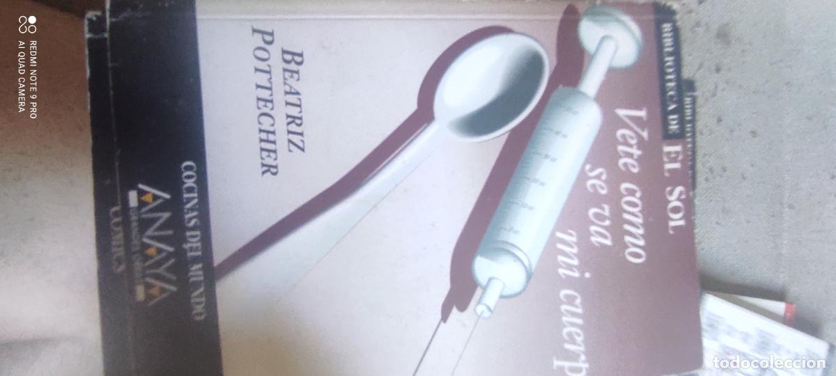 Libros de segunda mano: Vete como se va mi cuerpo, Vottecher. Biblioteca El Sol