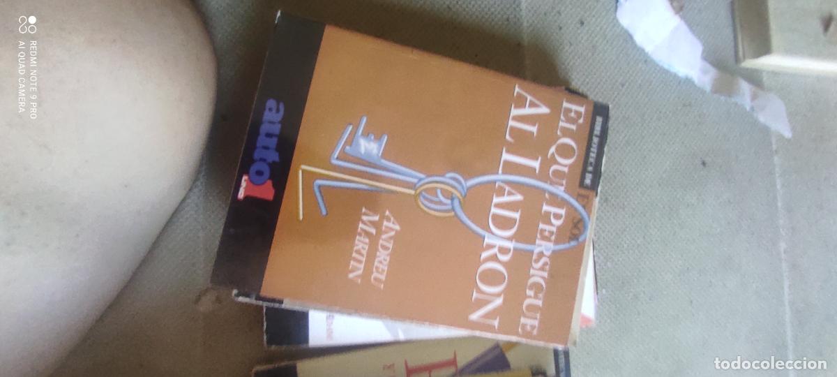 Libros de segunda mano: El que persigue al ladr&oacute;n. Andreu martin. Biblioteca del Sol