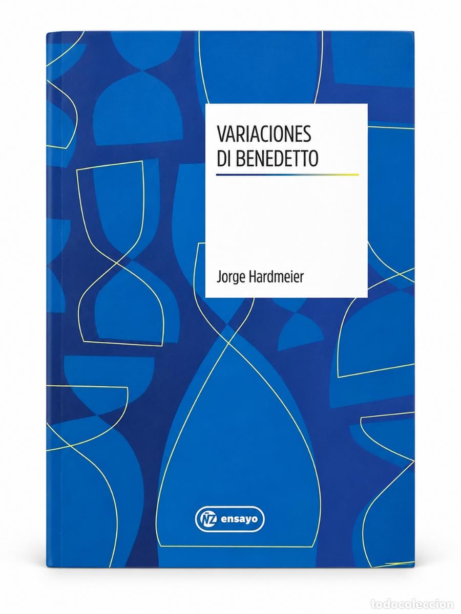 Libros de segunda mano: JORGE HARDMEIER &ndash; VARIACIONES DI BENEDETTO &ndash; A&Ntilde;OSLUZ &ndash; 2022 LM