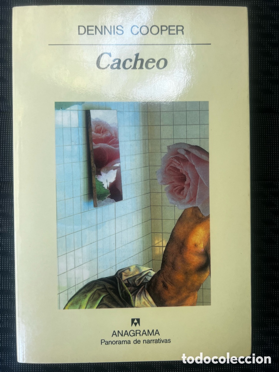 Libros de segunda mano: Cacheo Dennis Cooper Anagrama descatalogado