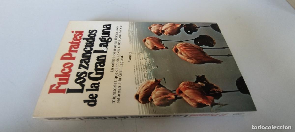 Libros de segunda mano: LOS ZANCUDOS DE LA GRAN LAGUNA / FULCO PRATESI / EVA 208 / PLANETA