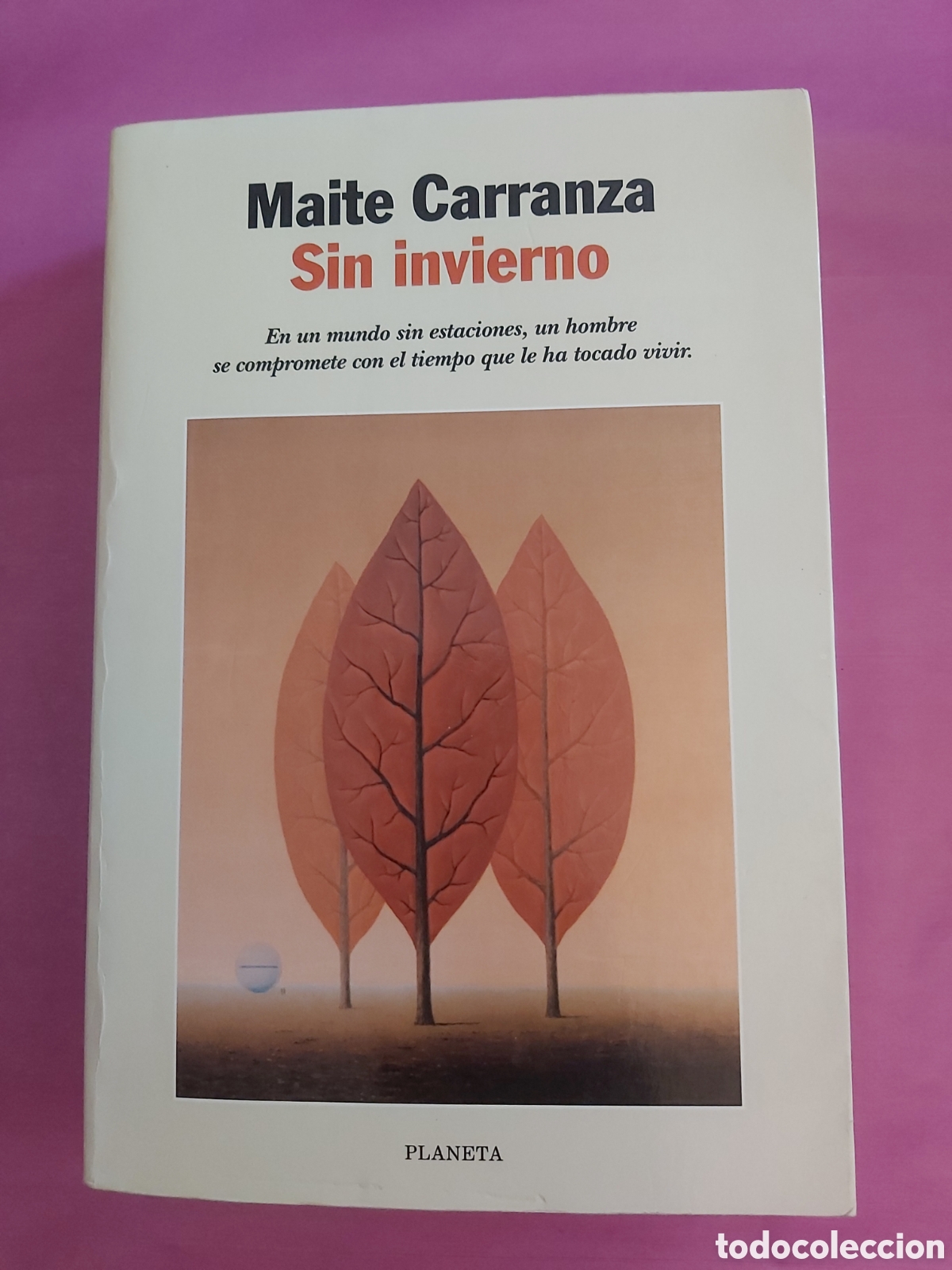 Libros de segunda mano: SIN INVIERNO MAITE CARRANZA PLANETA PRIMERA EDICI&Oacute;N 1999